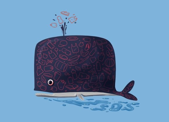 Whale and Trash: A Creative and Educational Visual Tool for Your Projects